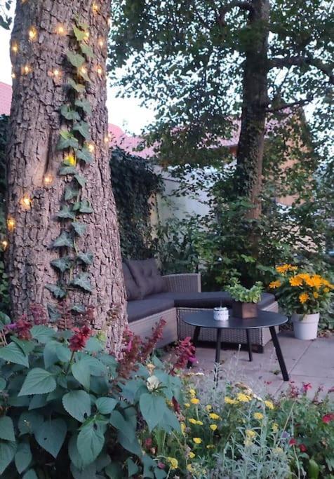 Apartment Stilvoll Und Gemuetlich - Wohnen Mit Flair