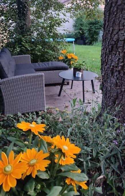 Stilvoll Und Gemuetlich - Wohnen Mit Flair Apartment *